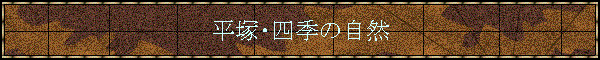 ���ˁE�l�G�̎��R