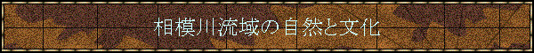 ���͐여��̎��R�ƕ���