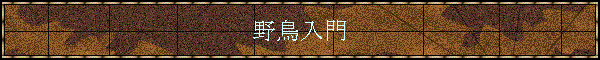 �쒹����