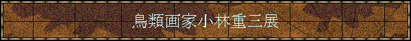 ���މ�Ə��яd�O�W