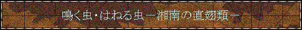 �����E�͂˂钎�|�Ó�̒����ށ|