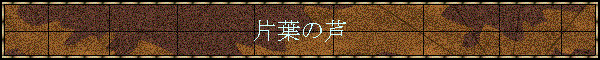�Зt�̈�